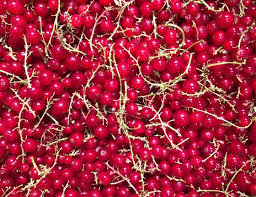 Groseilles grappe
