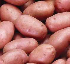 Pommes de terre rosabelle
