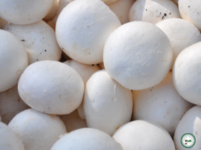 Champignon paris