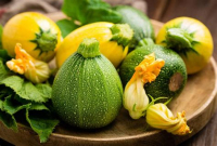 Courgette ronde