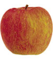 Pomme  fuji vrac 5kg 'petit calibre'