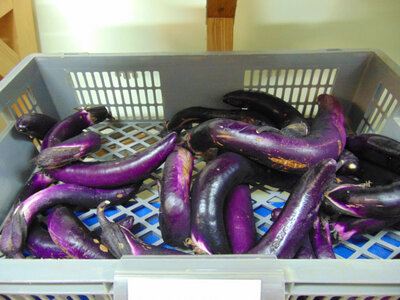 Aubergine spaghetti