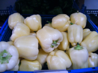 Poivron blanc