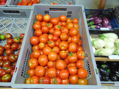 Tomate rouge