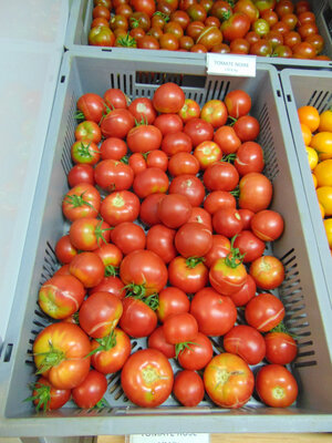 Tomate rose