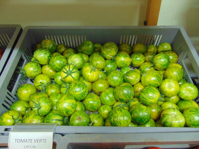 Tomate verte