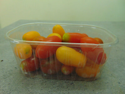 Tomates cerises 250 g