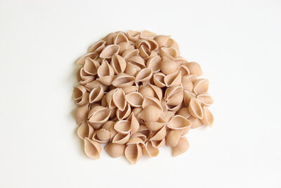 Conchiglie vrac
