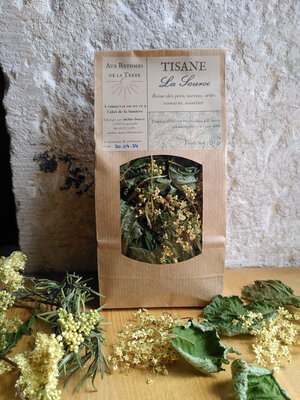 Tisane la source