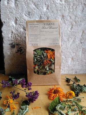Tisane soleil levant