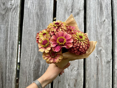 Botte de fleurs - zinnia lime