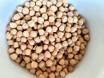 Pois chiches bio