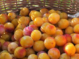 Prunes  mirabelle précoce en 500g