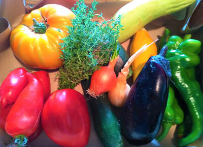 Paniers de légumes déclassés (ratatouille)