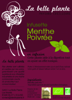 Menthe poivrée