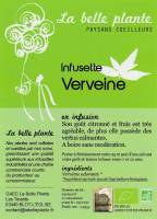 Verveine