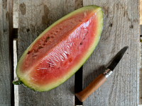 Pastèque