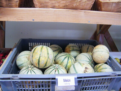 Melon