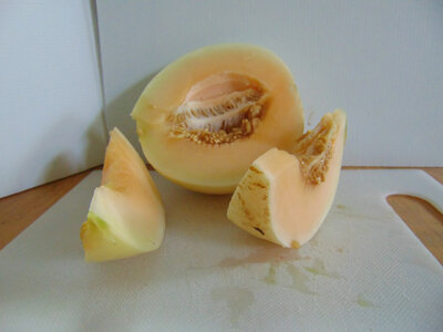 Melon miel