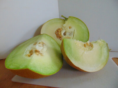 Melon vert