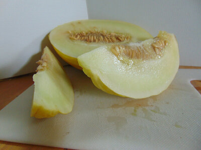 Melon blanc