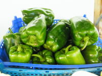 Poivron vert