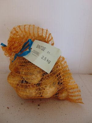 Pomme de terre bintge 2,5 kg