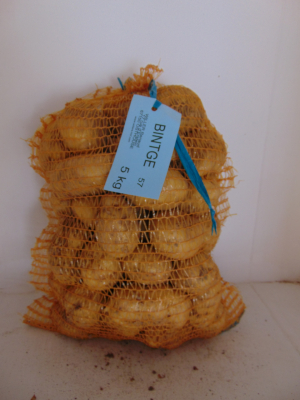Pomme de terre bintge 5 kg