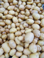 Pomme de terre bintge