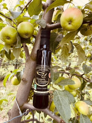 Vinaigre de cidre façon balsamique bio