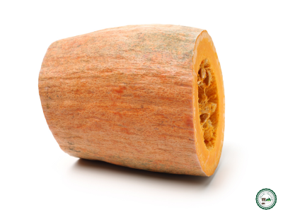 Courge longue de nice