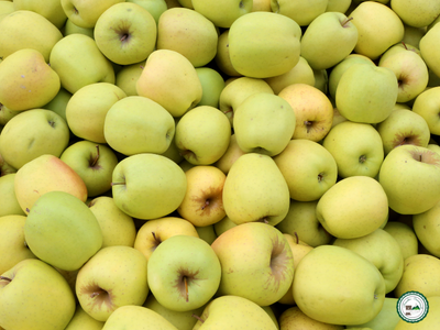 Pomme 'golden'