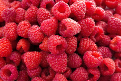 Framboise