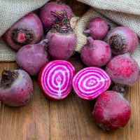 Betterave chioggia 1kg