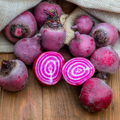 Betterave chioggia 1kg