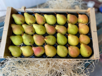 Plateau poire harrow sweet