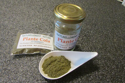 Poudre de plante cola