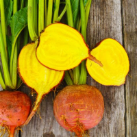 Betterave jaune 1 kg