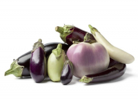 Aubergine multi variété