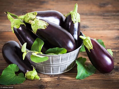 Aubergine noire