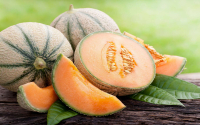 Melon variété charantais - petit format