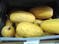 Courge spaghetti jaune