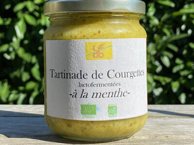 Tartinade de courgettes à la menthe