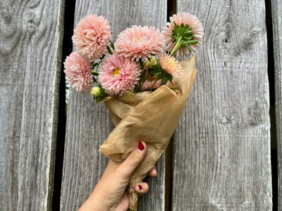 Botte de fleurs - reine marguerite