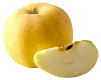 Pomme belchard chanteclerc