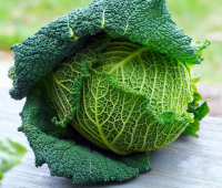 Chou milan bio (la pièce)