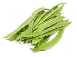 Haricot plat bio