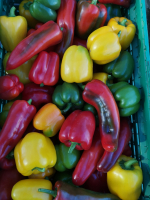 Poivrons mélange couleurs par 500 gr