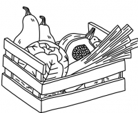 Panier légumes surprise petit modèle