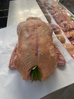Canard